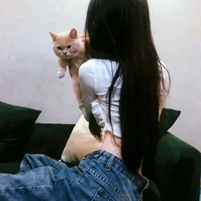 猫侍2 封面